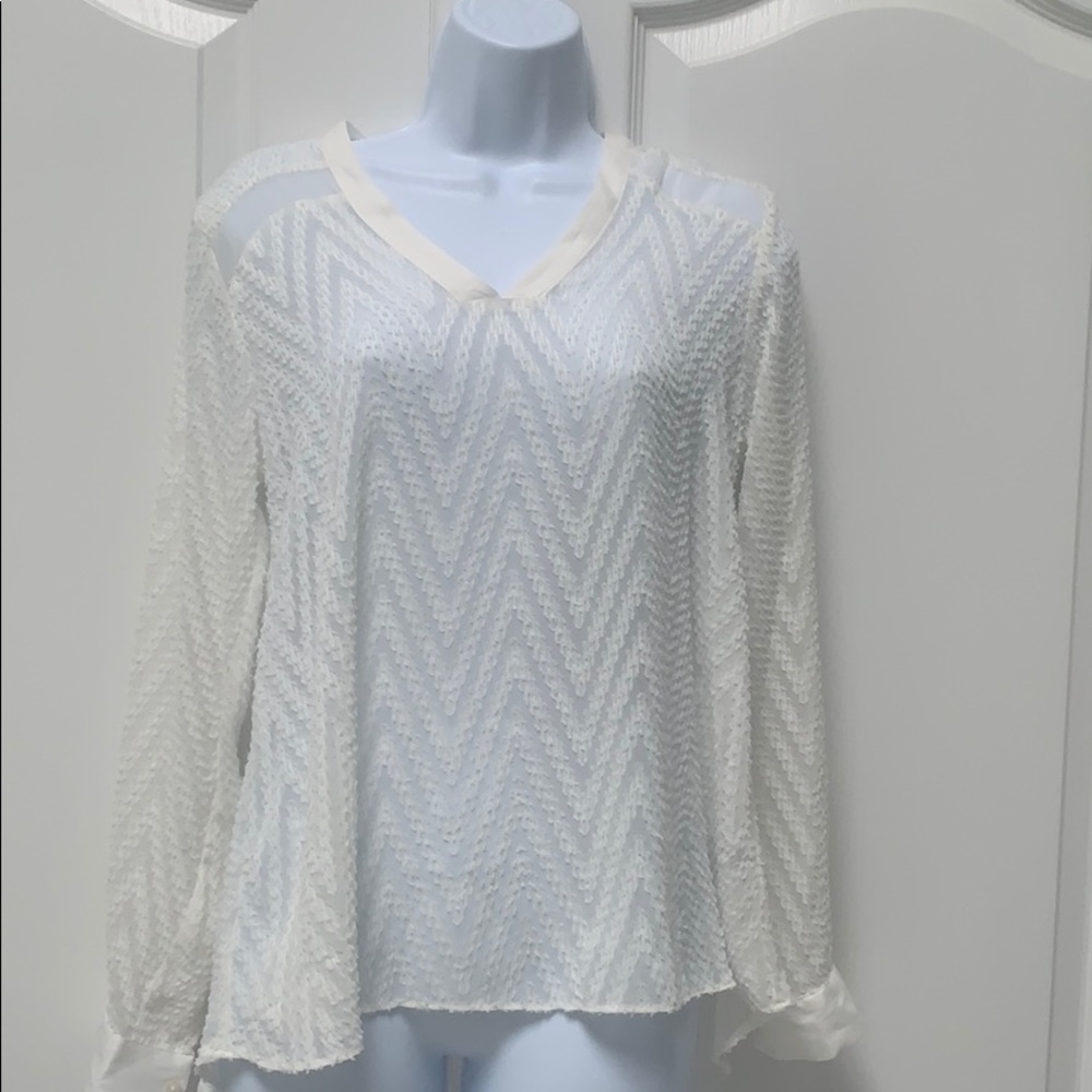 Sheer blouse